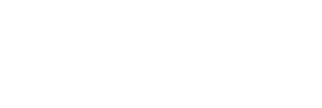 Peru Vip Travel Logo