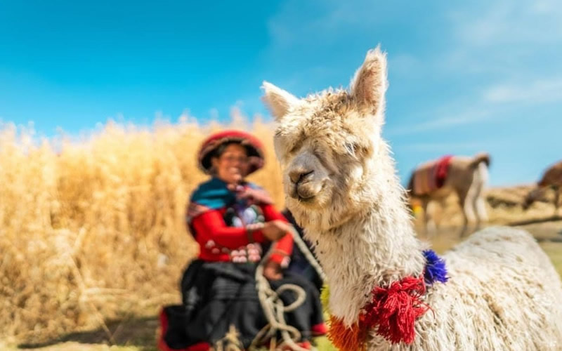 Tour Valle Sagrado de los Incas