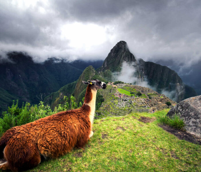 Tour Machu Picchu & Maras Moray Salineras 06 Días